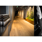 Shopify Employee Experiences